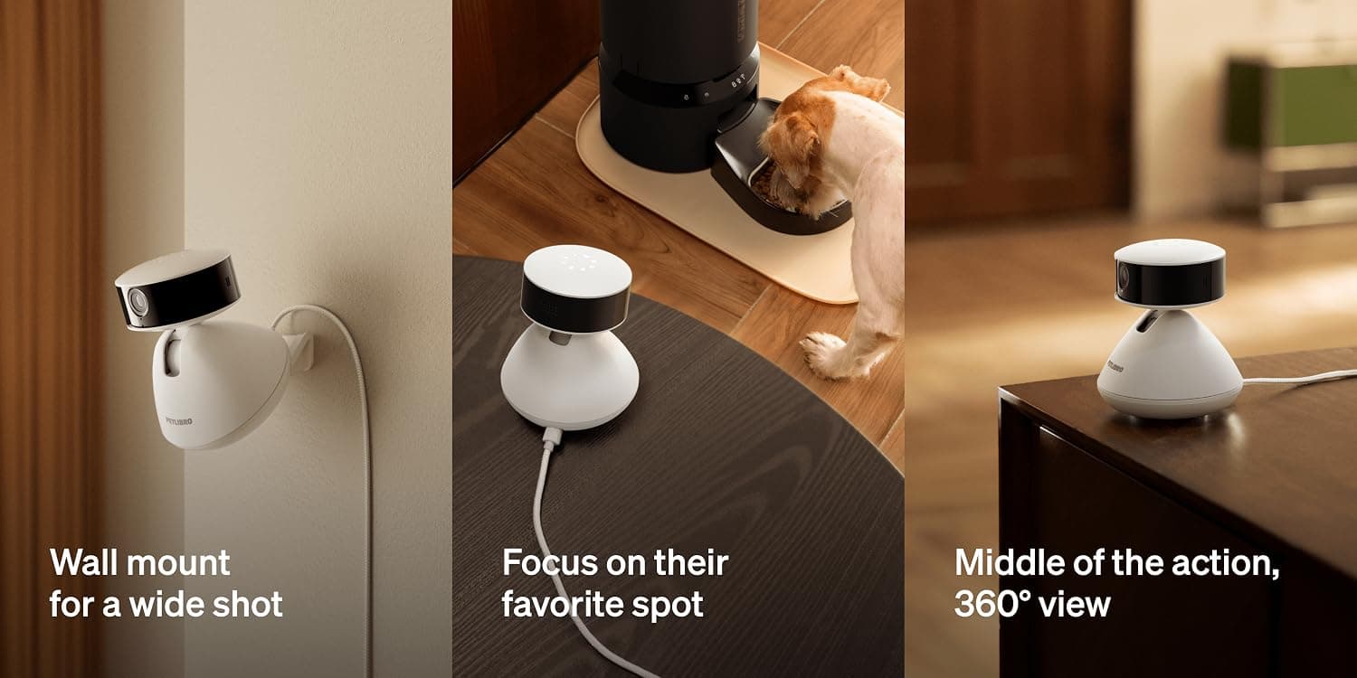 Dog and cat sitting beside a PETLIBRO smart feeder