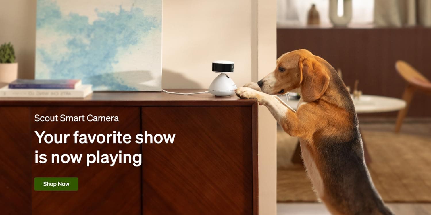 Dog and cat sitting beside a PETLIBRO smart feeder