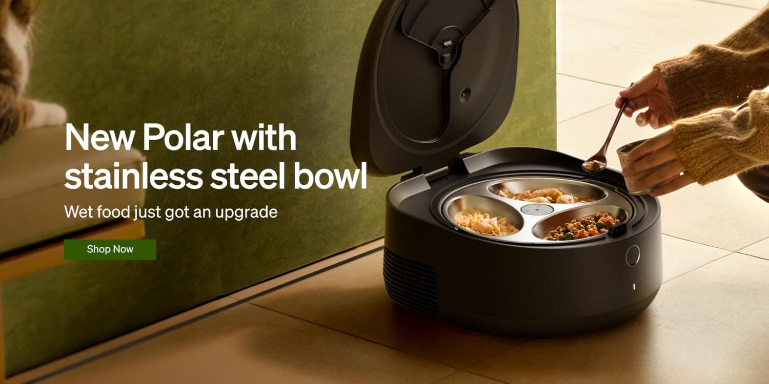 Dog and cat sitting beside a PETLIBRO smart feeder