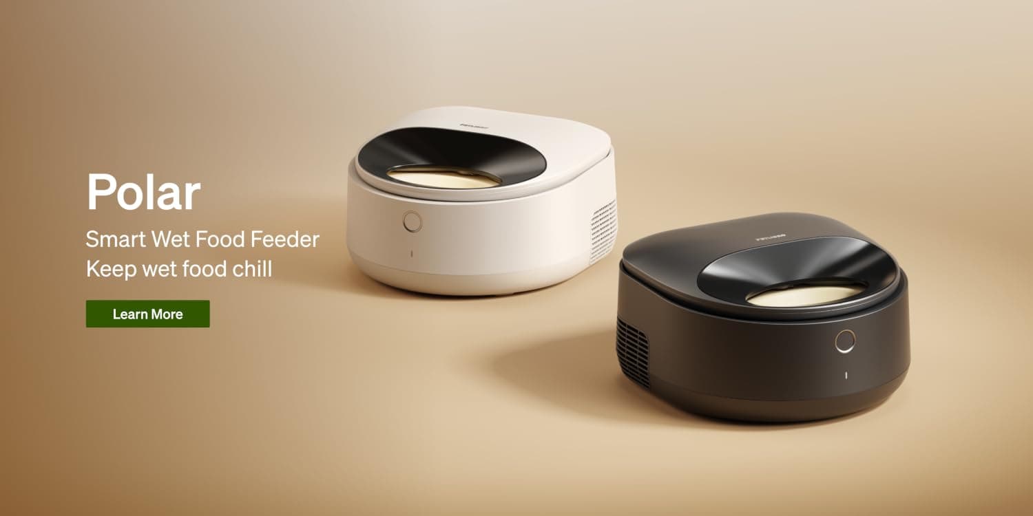 Dog and cat sitting beside a PETLIBRO smart feeder