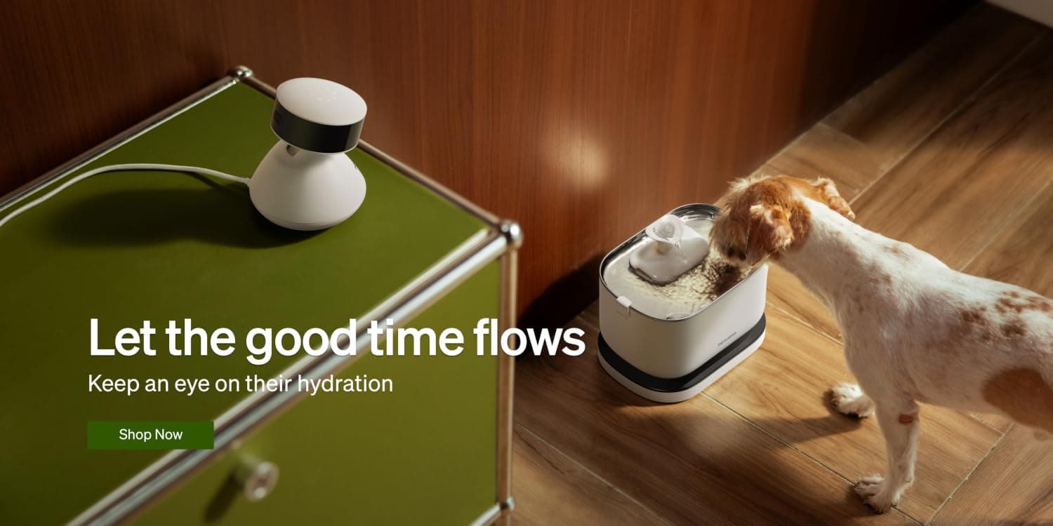 Dog and cat sitting beside a PETLIBRO smart feeder