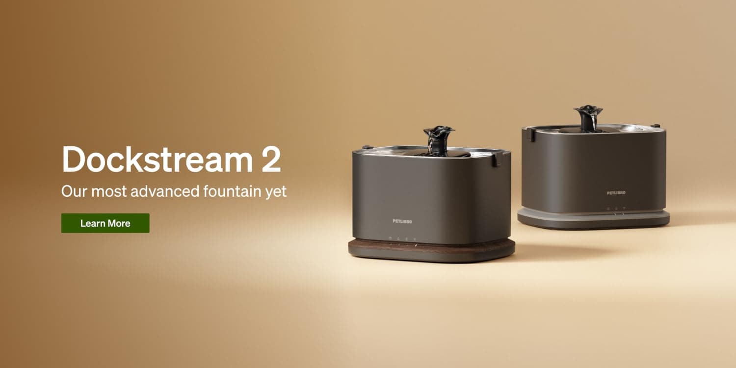 Dog and cat sitting beside a PETLIBRO smart feeder
