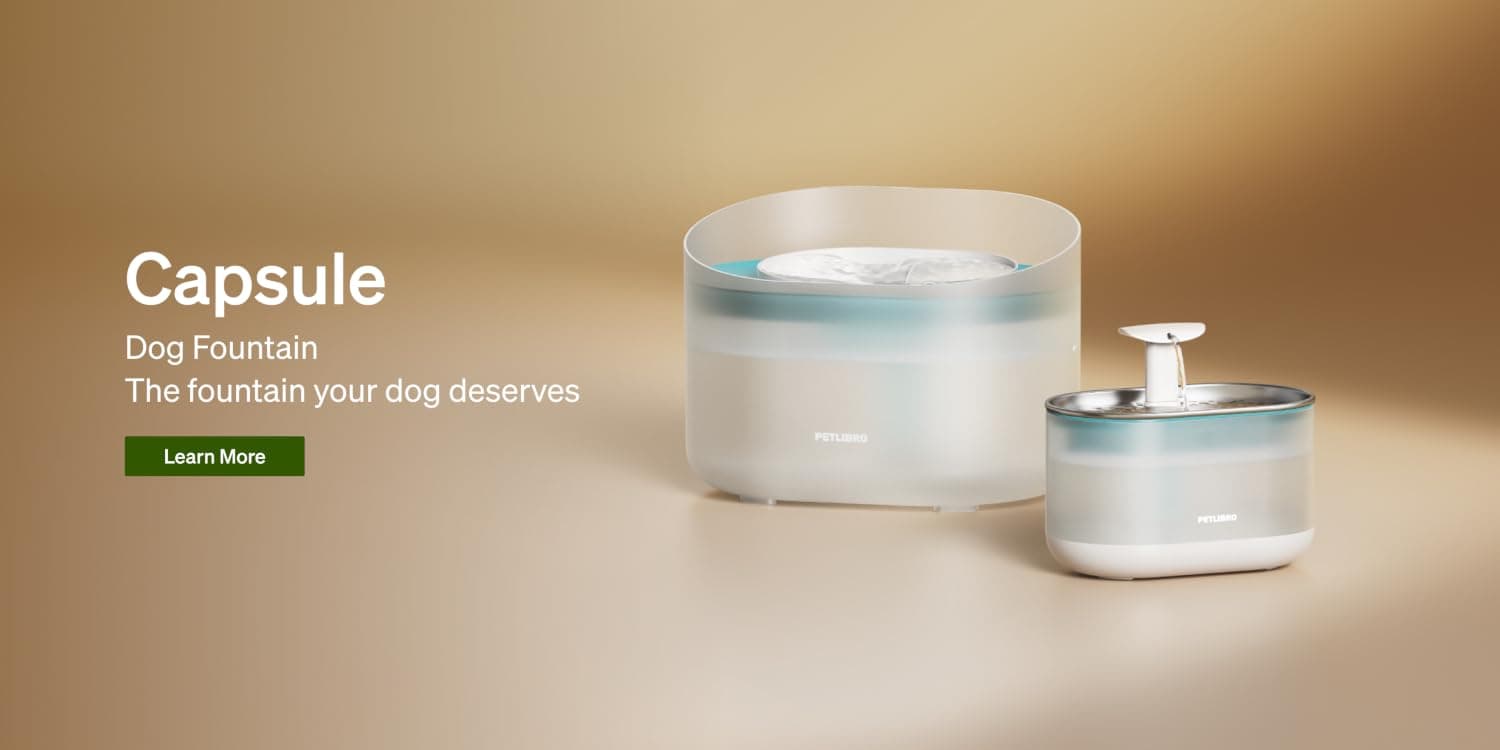 Dog and cat sitting beside a PETLIBRO smart feeder