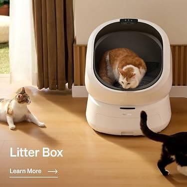 Litter Box