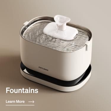 Fountains