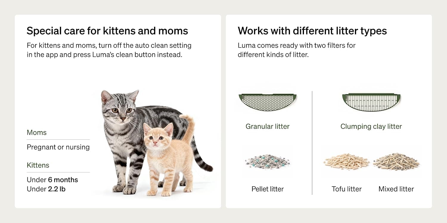 Dog and cat sitting beside a PETLIBRO smart feeder
